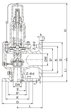 Liquefied Gas Safety Valve